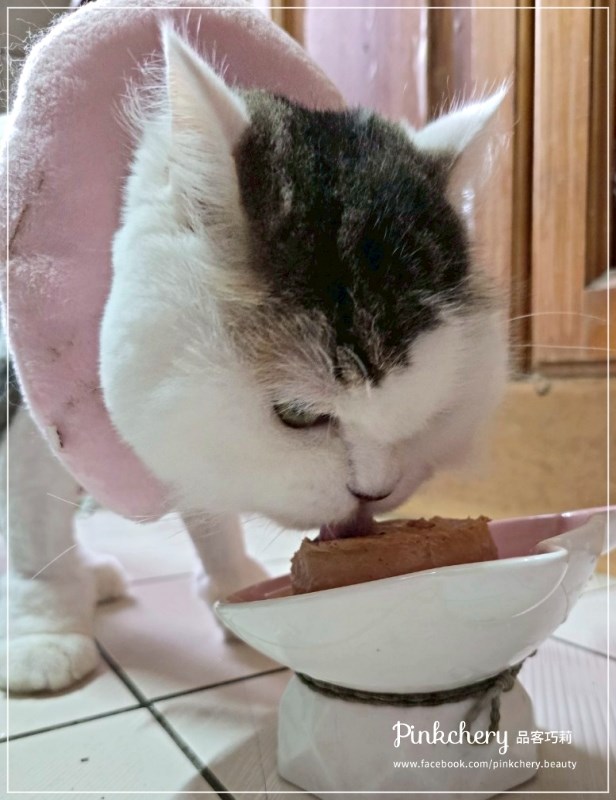 女人知己試用大隊,口碑行銷,部落客行銷,PURRFACT 波菲特貓用主食罐,主食罐,PURRFACT波菲特,貓主食罐,貓罐,PURRFACT波菲特貓用主食罐,魚肉蔓越莓主食罐,鮮嫩雞主食罐,鹿肉雞肉主食罐,牛肉鵪鶉貓主食罐,干貝蠶蛹配方,鱷魚肉白木耳配方,雞肉魚肉配方,安心鶉配方,評價,體驗,適口性佳,心得,成貓適用,高齡貓適用,質地是慕絲狀